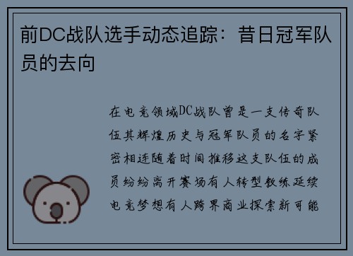 前DC战队选手动态追踪：昔日冠军队员的去向